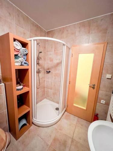 a bathroom with a shower with a toilet and a sink at Prokop in Železná Ruda