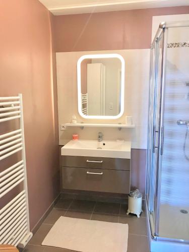 une salle de bain avec un lavabo et un miroir dans l'établissement Appartement hyper centre, plage à pieds, 2 chambres, 4 personnes, à Châtelaillon-Plage