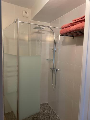 baño con cabina de ducha con puerta de cristal en Studio cosy avec en option piscine accessible de avril à octobre, en Quimperlé
