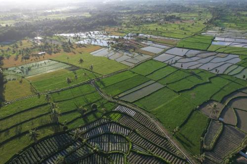 an aerial view of a farm with fields and trees at Peraja Bungalows Loyok in Sangyang