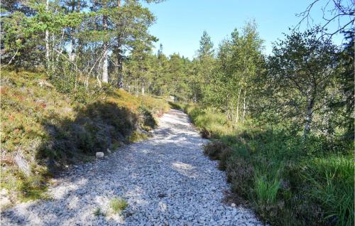 a dirt trail with trees on the side of a hill at 4 Bedroom Lovely Home In Treungen in Treungen