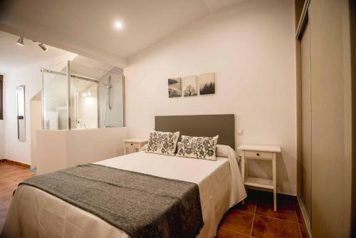 una camera con un letto con due cuscini sopra di Apartamentos AL PASO DE TOLEDO, Puy du Fou a 10km a Burguillos de Toledo