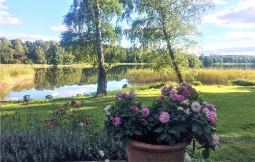 a pot of flowers in a yard with a lake at Amazing Home In Höör With Wifi in Höör