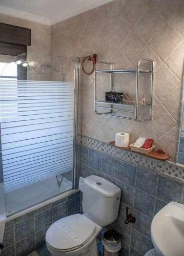 a bathroom with a toilet and a shower and a sink at El Nido de Gredos cuco apartamento con chimenea in Navarredonda de Gredos