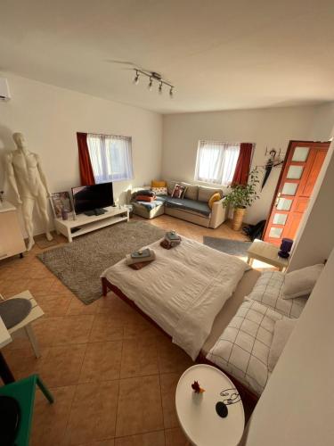 - un salon avec un lit et un canapé dans l'établissement Wash House Apartman, à Győr
