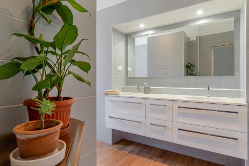 ein Badezimmer mit einem Waschbecken, einem Spiegel und einer Topfpflanze in der Unterkunft Città del Capo in Triest