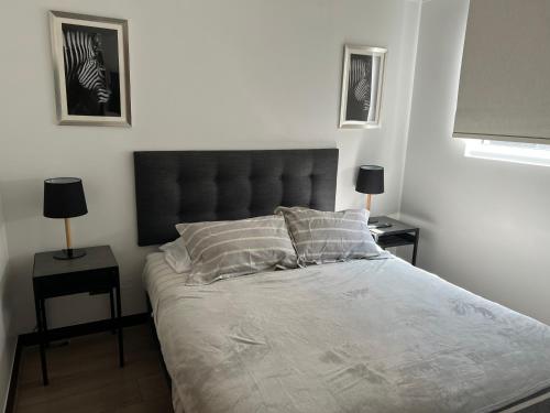 - une chambre avec un grand lit et 2 tables de chevet dans l'établissement Espectacular depto Moderno 22, à Santiago