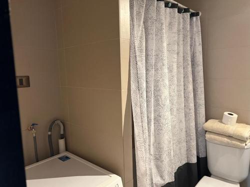 a bathroom with a toilet and a shower curtain at 22 ,Costado Clinica Las Condes ,6 Personas in Santiago