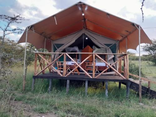 a tent with two animals in it in a field at Sonkoi Tent Safari Camp in Narok