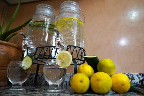 Bebidas en Fleur de cactus, Guesthouse, Tamraght