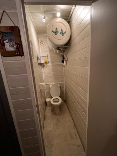 La petite salle de bains est pourvue de toilettes et d'un lavabo. dans l'établissement Super-besse Résidence Le lac bleu Serviére Chez Lorenzo et Séverine, à Besse-et-Saint-Anastaise