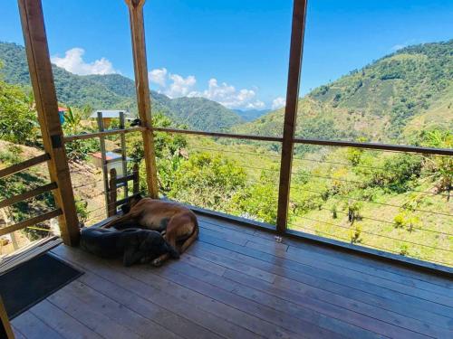 Chalet Green View – Photos 4