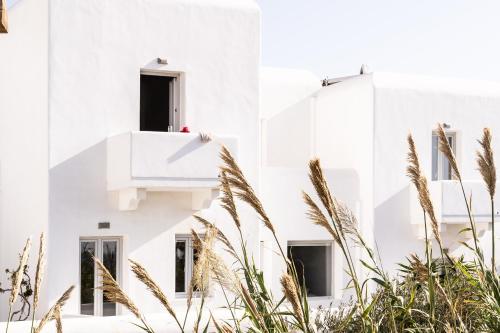 a white building with plants in front of it at Tagoo Studios Mykonos in Mýkonos City