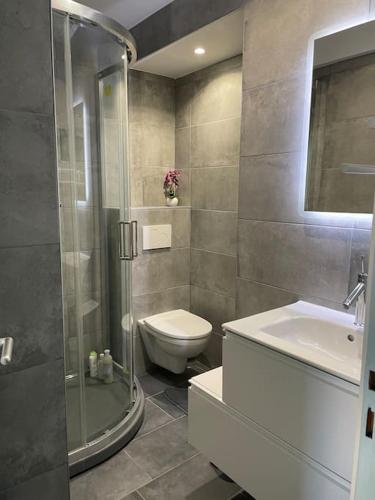a bathroom with a shower and a toilet and a sink at Au coeur des Alpes 3 in La Roche-sur-Foron