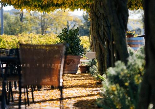 a table and chairs in a garden with plants at Dimora Buglioni Wine Relais in San Pietro in Cariano