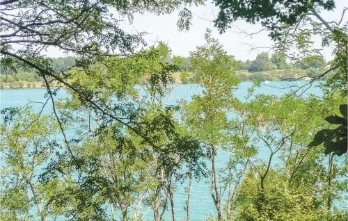 a view of a lake through the trees at 3 Bedroom Gorgeous Home In Arjuzanx in Arjuzanx