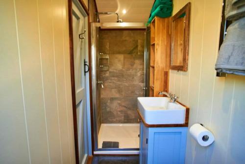 uma pequena casa de banho com um lavatório e um chuveiro em Finest Retreats - Maple Luxury Shepherds Hut em Dittisham