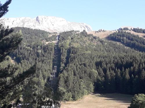 une montagne avec des arbres et une montagne enneigée dans l'établissement Joli petit studio à Villard de Lans, à Villard-de-Lans
