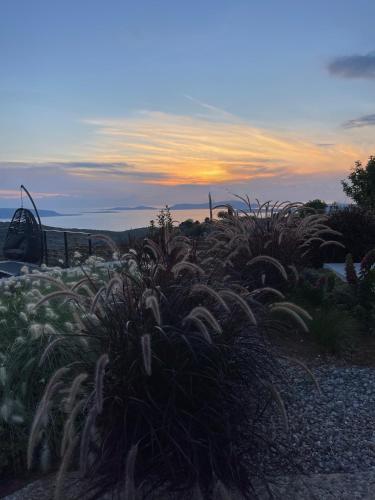 a field of plants with the sunset in the background at Dimeli - Sea View Villas in Foinikounta in Finikounta