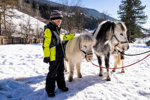 a young boy standing next to two miniature ponies in the snow at Familien- Sportresort BRENNSEEHOF in Feld am See
