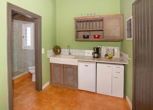 a kitchen with green walls and a sink and a toilet at Roxanne's Olive Grove House in Kranidi