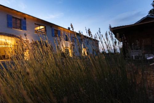 a train sitting next to a building with tall grass at Podere Demetra in Novi Ligure