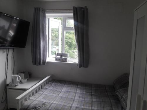 a living room with a window and a television at Albany Rooms in Bexley