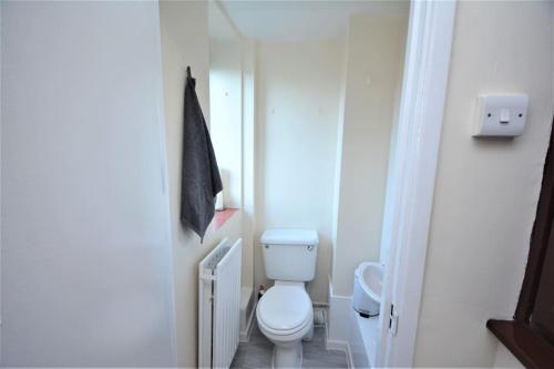 a white bathroom with a toilet and a sink at Lovely 4 bedroom apartment close to the city walking distance from the rivere view in London