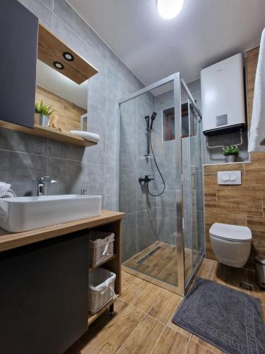 Un baño con ducha, inodoro y lavabo. en Garnet Star Apartments 1, en Kopaonik