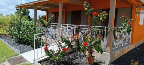 Taman di luar Gîte Poz Kreyol