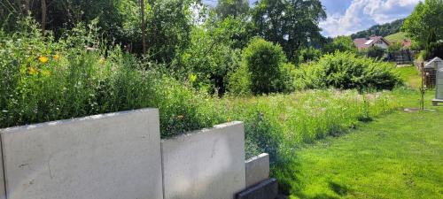 a garden with a fence and a field of flowers at Apartment am Weinberg Kleinaspach in Aspach