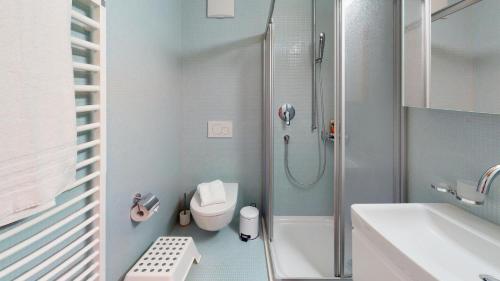 a bathroom with a shower and a toilet and a sink at Mountain Cabin Mutten-Graubünden in Mutten