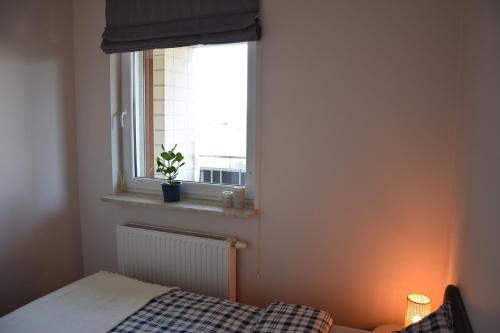 sypialnia z łóżkiem i oknem z rośliną w obiekcie Warsaw City Break w Pruszkowie