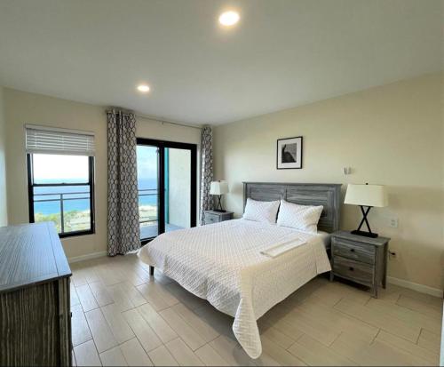 a bedroom with a large bed and a window at Hillsboro Suites & Residences Condo Hotel, St Kitts in Basse Terre Town