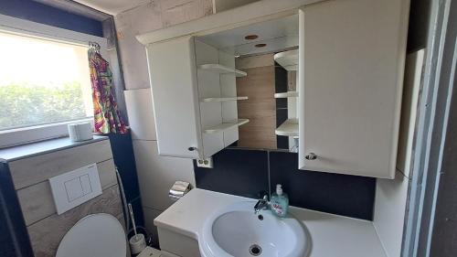 een kleine badkamer met een wastafel en een toilet bij Sárkány Lak in Diósd