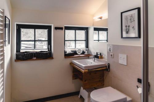 a bathroom with a sink and a toilet and two windows at Altsächsischer Gasthof Kleines Vorwerk in Sayda