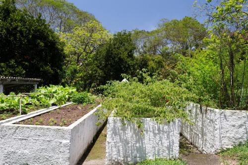 a garden with two raised beds with plants at Sítio com piscina, área arborizada e lazer in Jacareí