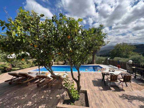 an orange tree sitting on a deck next to a pool at Villa Domenico in Vryses
