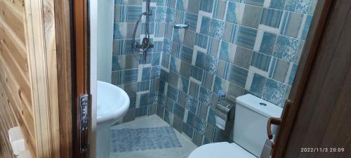 łazienka z toaletą i prysznicem wyłożonym niebieskimi kafelkami w obiekcie Cottage lima w Kutaisi
