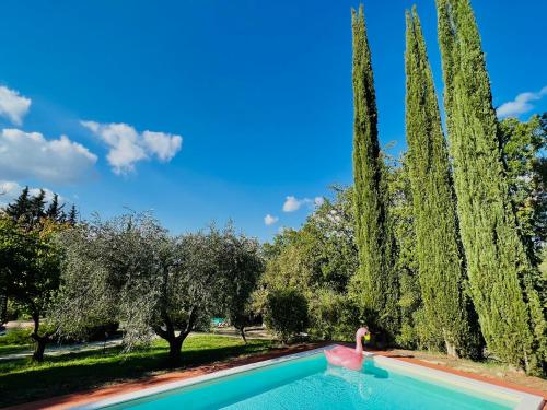 a swimming pool with a pink flamingo in a garden at Giove Umbria historic stone farmhouse with pool and detached apartments for a total of 12 guests in Giove