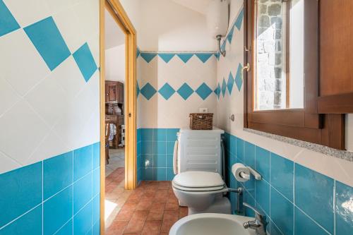 a bathroom with blue and white tiled walls and a toilet at Villa Maladroxia in Maladroscia