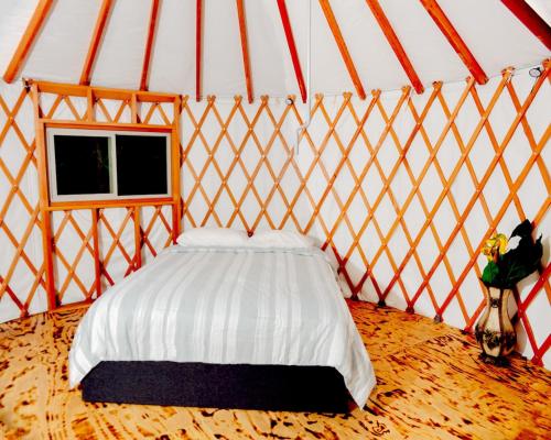 Llit o llits en una habitació de Eco Friendly Glamping Yurt In Roan Mountain Tn