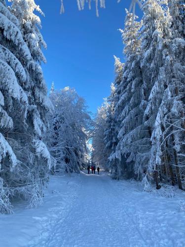 a group of people walking down a snow covered path between trees at im Haus zur Auszeit willkommen in Ruhla