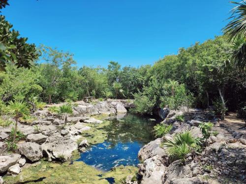 Paisaje cerca de este apartamento