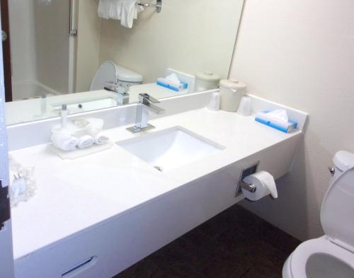 Ένα μπάνιο στο Red Roof Inn & Suites Monee