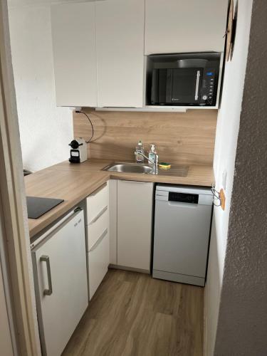 une petite cuisine avec un évier et un micro-ondes dans l'établissement Font romeu logement 4 saisons, à Font-Romeu-Odeillo-Via