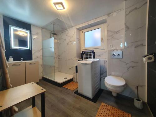 łazienka z toaletą, umywalką i prysznicem w obiekcie - 1 - Appartement charmant moderne 5 pers T3 73m2 w mieście Sélestat