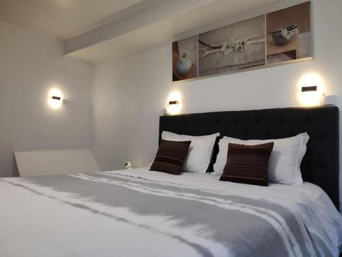 sypialnia z dużym białym łóżkiem z 2 poduszkami w obiekcie - 1 - Appartement charmant moderne 5 pers T3 73m2 w mieście Sélestat