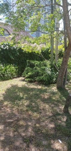 Jardín al aire libre en Charamusca