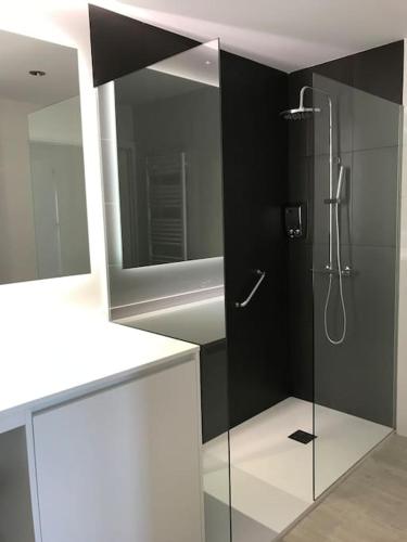 a bathroom with a shower with a glass door at Albatros (wifi y garaje) in Ávila